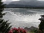 0018 IMG_4442 