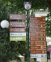 0034 IMG_4481 