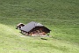 0055 IMG_4525 