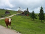 0060 IMG_1148 
