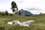 0066 IMG_4565 
