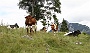 0067 IMG_4568 