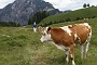 0069 IMG_4572 