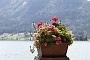 0083 IMG_4605 