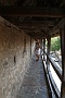 0033 IMG_4745 