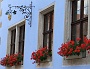 0040 IMG_4764 