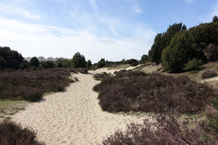 011 Drenthe - Mantinge - MVervoorn.JPG