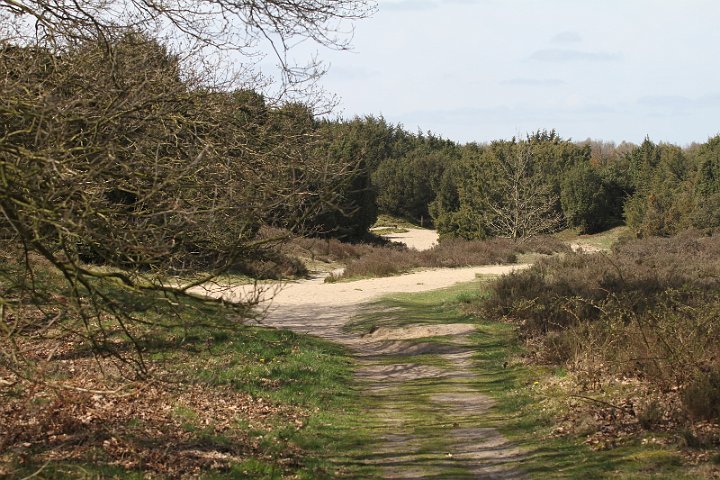 013 Drenthe - Mantinge - MVervoorn.JPG