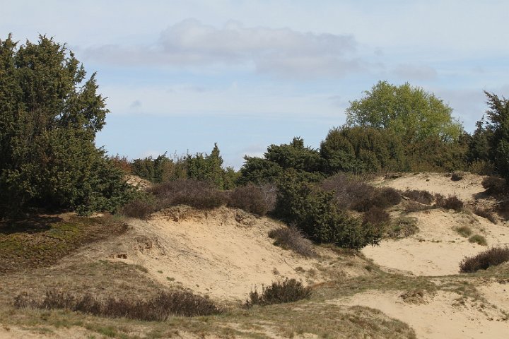 015 Drenthe - Mantinge - MVervoorn.JPG