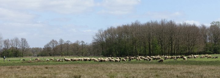 045 Drenthe - Mantinge - MVervoorn.jpg