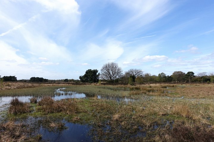 047 Drenthe - Mantinge - MVervoorn.JPG