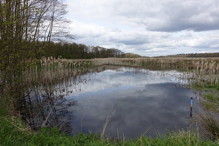 063 Drenthe - Mantinge - MVervoorn.JPG