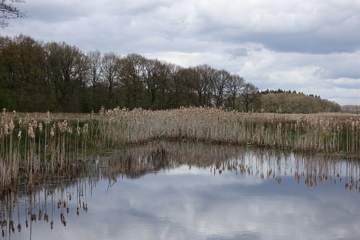 064 Drenthe - Mantinge - MVervoorn.JPG