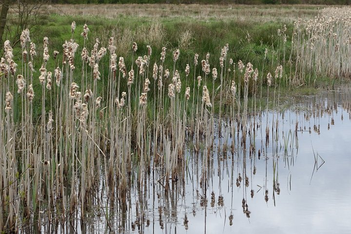 065 Drenthe - Mantinge - MVervoorn.JPG
