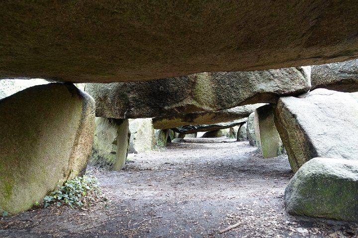 072 Drenthe - Mantinge - MVervoorn.JPG