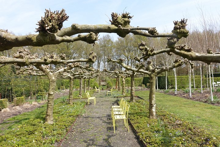 101 Drenthe - Mantinge - MVervoorn.JPG