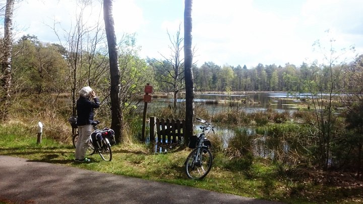 110 Drenthe - Mantinge - MVervoorn.jpg