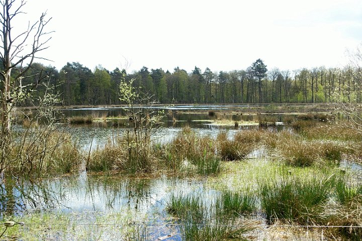 111 Drenthe - Mantinge - MVervoorn.JPG