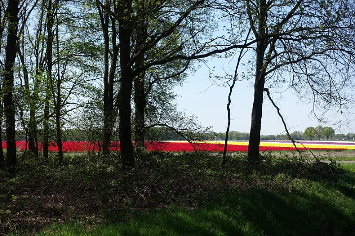 130 Drenthe - Mantinge - MVervoorn.JPG