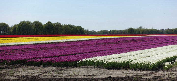 131 Drenthe - Mantinge - MVervoorn.jpg