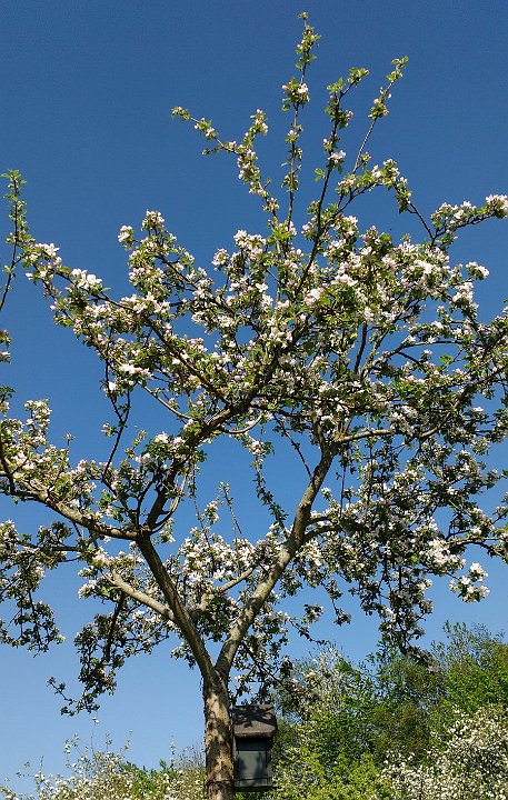 135 Drenthe - Mantinge - MVervoorn.jpg