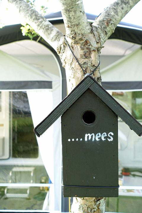 136 Drenthe - Mantinge - MVervoorn.jpg