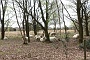 006 Drenthe - Mantinge - MVervoorn