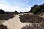011 Drenthe - Mantinge - MVervoorn