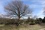 012 Drenthe - Mantinge - MVervoorn