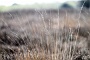 018 Drenthe - Mantinge - MVervoorn