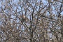 020 Drenthe - Mantinge - MVervoorn