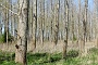 044 Drenthe - Mantinge - MVervoorn