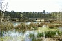 111 Drenthe - Mantinge - MVervoorn