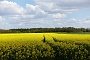 113 Drenthe - Mantinge - MVervoorn