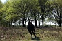 128 Drenthe - Mantinge - MVervoorn