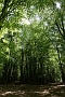 133 Drenthe - Mantinge - MVervoorn