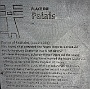 0082 DSC02851.JPG-Gradignan-Bordeaux