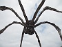 0148 IMG_1889.JPG-Laredo - Bilbao 