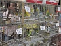 0155 IMG_1898.JPG-Laredo - Bilbao 