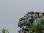 0231 -Potes - Picos de Europa 