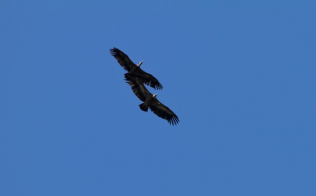 0352 IMG_6657.jpgLumbier.jpg