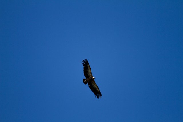 0353 IMG_6659.jpgLumbier.jpg
