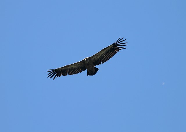 0357 IMG_6664.jpgLumbier.jpg