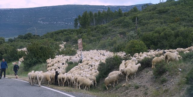0379 DSC03433.jpgLumbier.jpg