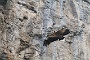 0349 IMG_6616.jpgLumbier