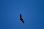 0353 IMG_6659.jpgLumbier