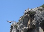 0359 IMG_6679.jpgLumbier