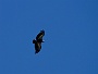 0360 IMG_6698.jpgLumbier