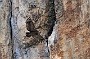 0361 IMG_6716.jpgLumbier