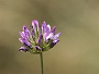 0368 IMG_6760.jpgLumbier